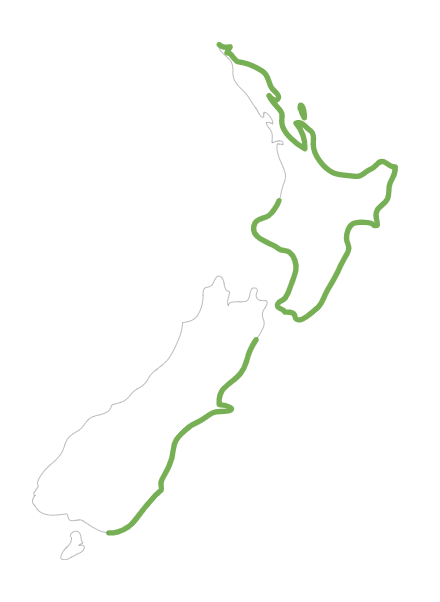 Catch area for New Zealand yellowtail kingfish